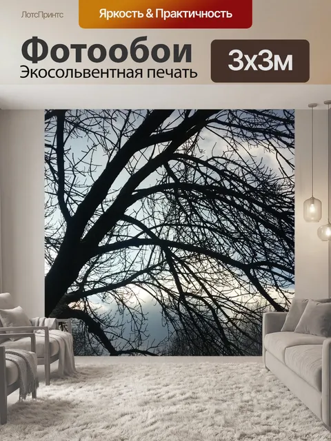 Фотообои Польша