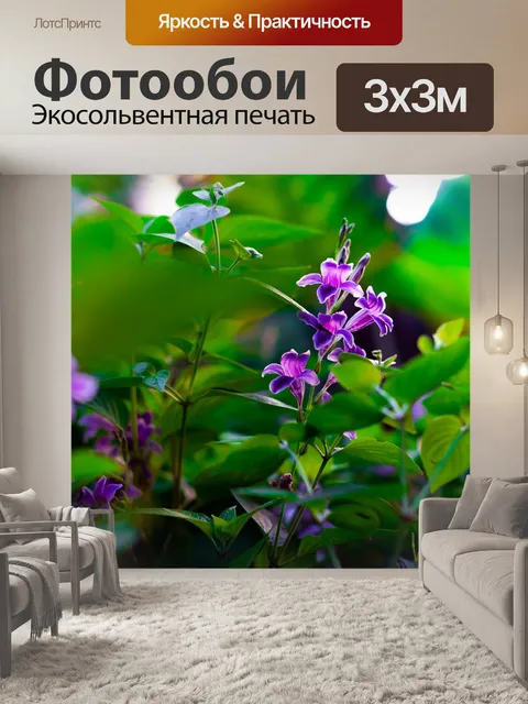 Фотообои Цветок