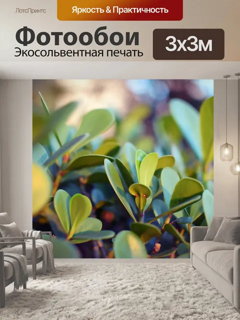Фотообои Листы