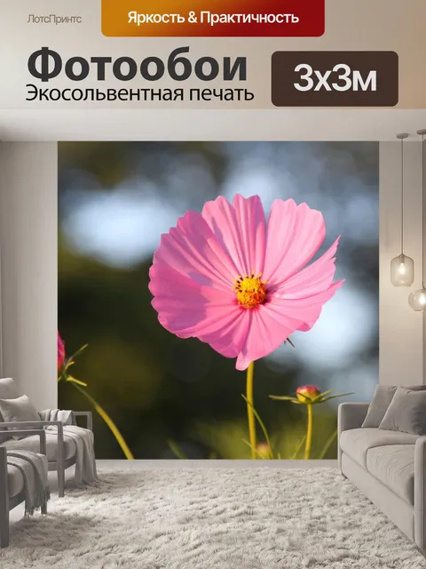 Фотообои Природа