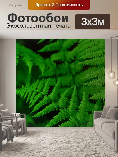 Фотообои Папоротник