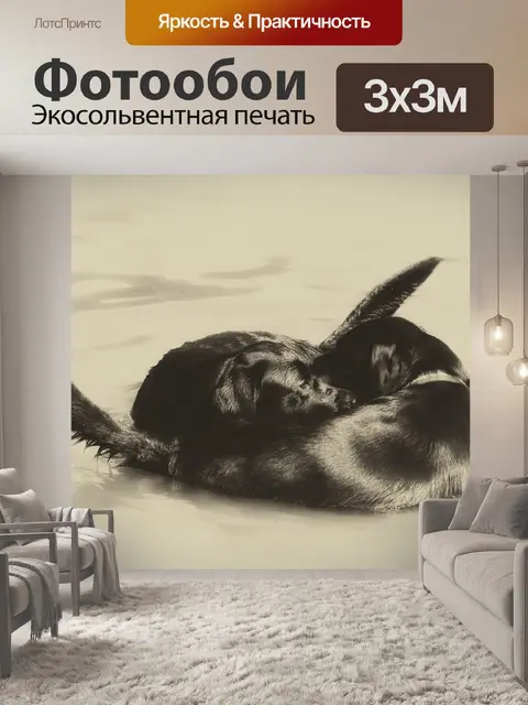Фотообои Собаки
