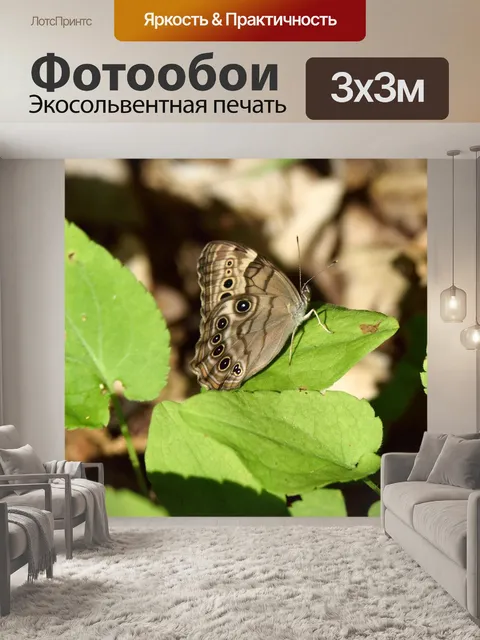 Фотообои Насекомое