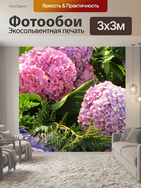 Фотообои Цветы Гортензии