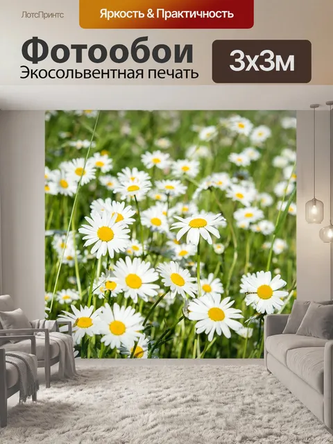 Фотообои Ромашки