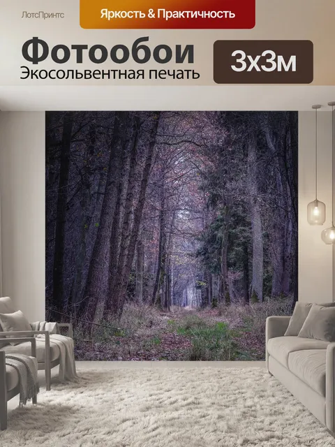 Фотообои Лес