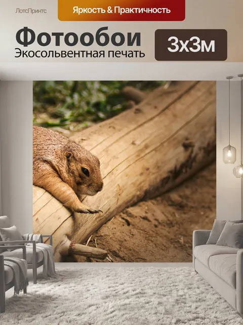Фотообои Прерии собака