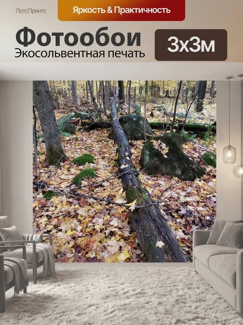 Фотообои Осенние деревья