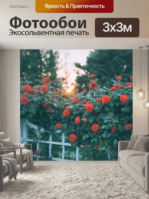Фотообои Роза