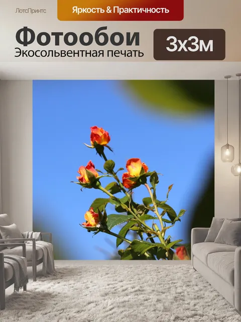 Фотообои Бутоны роз
