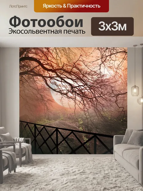 Фотообои Закат на заднем дворе