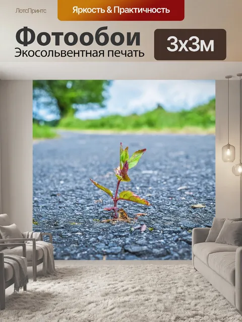 Фотообои Природа