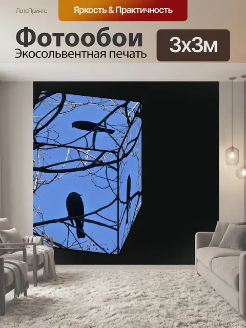 Фотообои Птичий куб