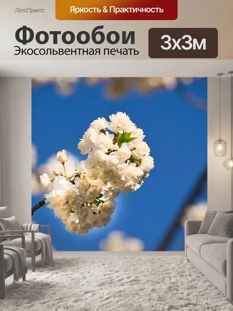 Фотообои Белые цветки