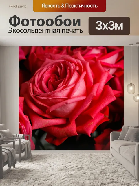 Фотообои Розы
