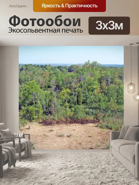 Фотообои Деревьев в парке