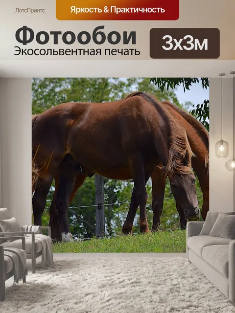 Фотообои Лошади