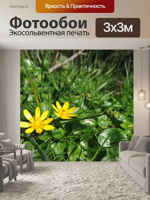 Фотообои Расцветает