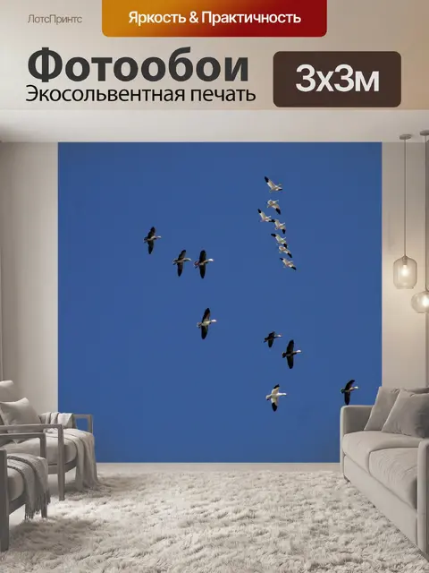 Фотообои Гуси