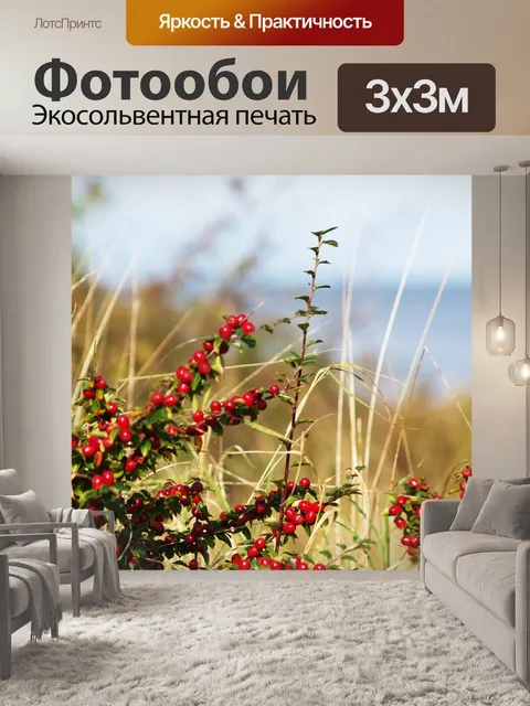 Фотообои Ягоды