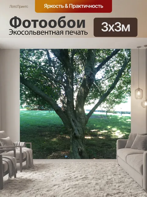 Фотообои Дерево в парке