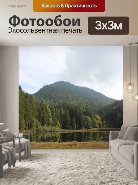 Фотообои Лес