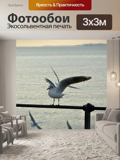 Фотообои Чайка