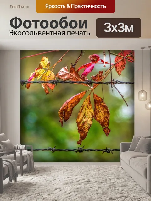 Фотообои Листья