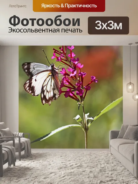 Фотообои Бабочка