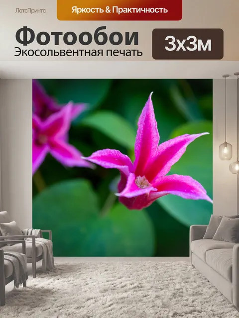 Фотообои Фиолетовые цветы, восхождение