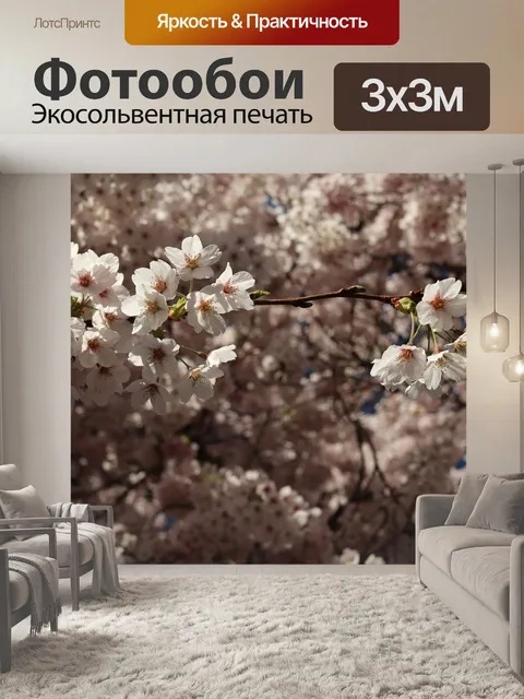 Фотообои Сакура