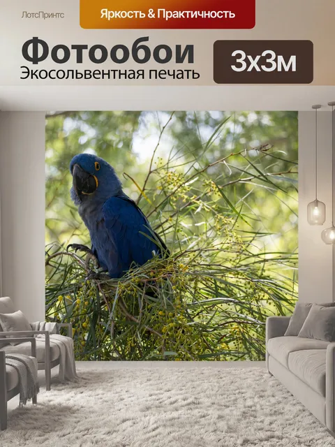 Фотообои Синий попугай ара