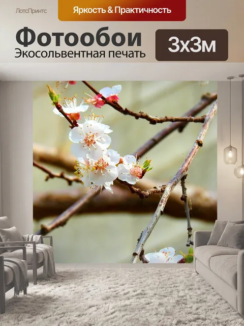 Фотообои Цветы