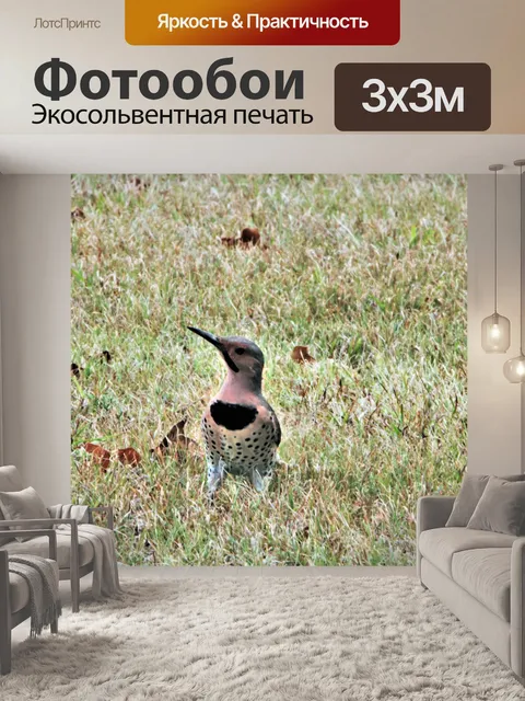 Фотообои Северное мерцание в траве 2