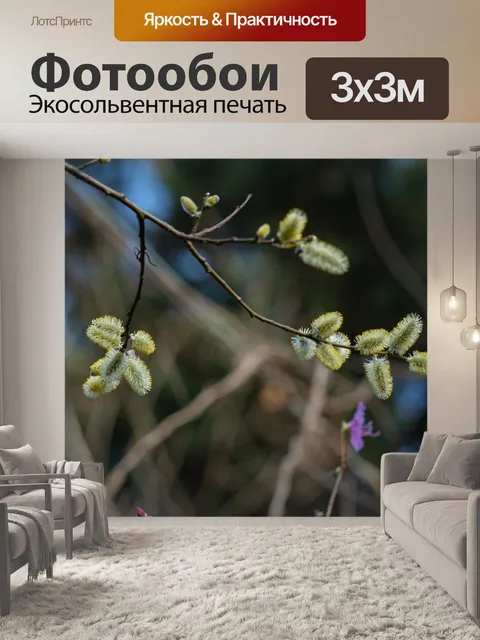 Фотообои Весна