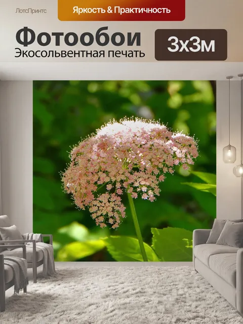 Фотообои Цветок