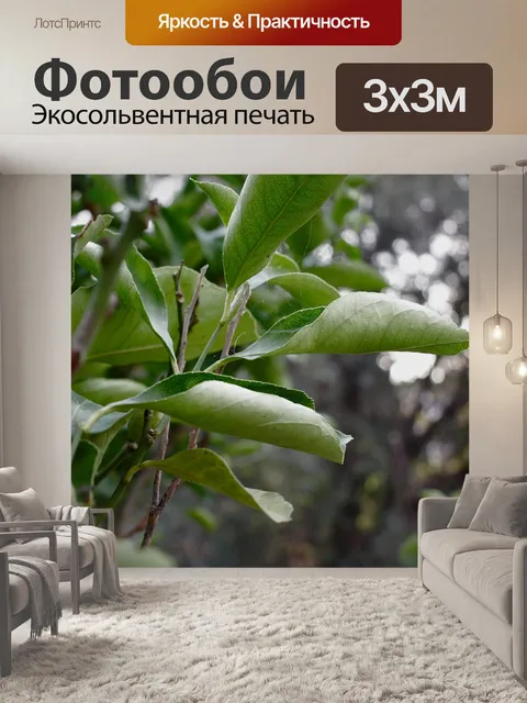 Фотообои Листья