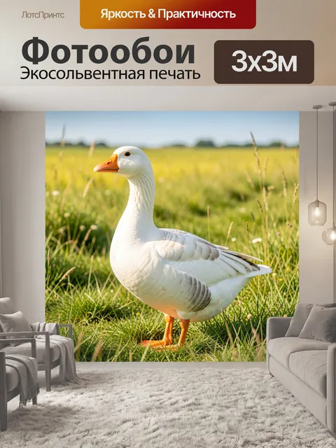 Фотообои Белый гусь на лугу