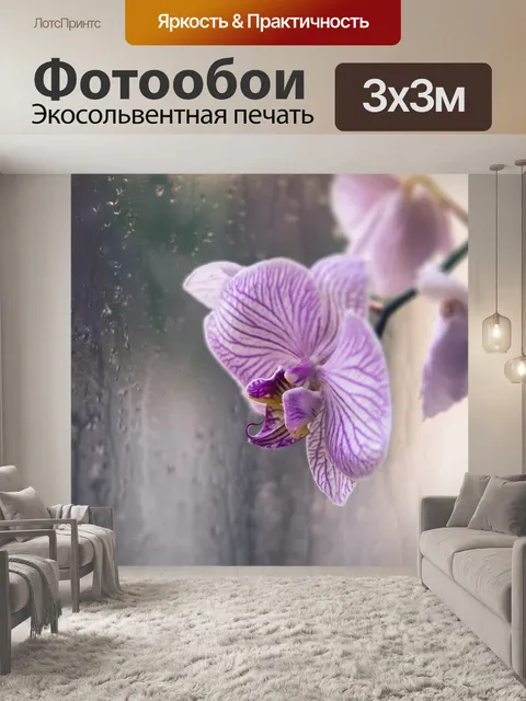 Фотообои Орхидея