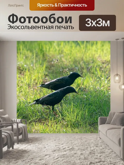 Фотообои Птица