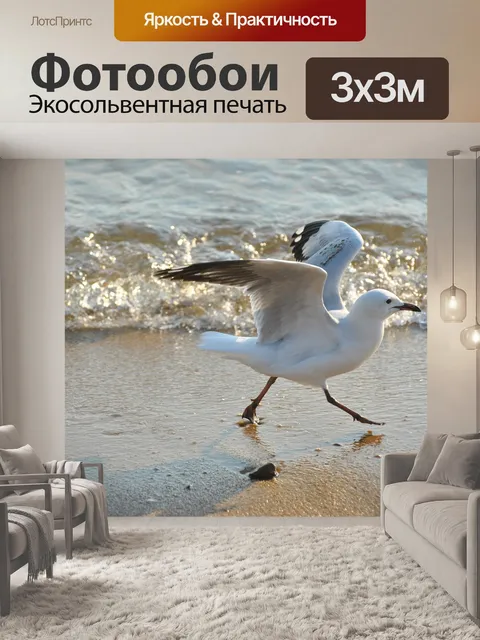 Фотообои Летать