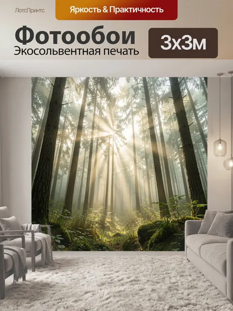 Фотообои Солнечные лучи в хвойном лесу