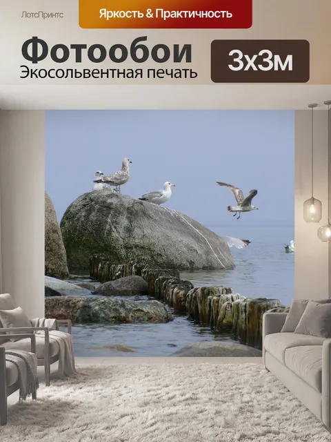 Фотообои Чайки