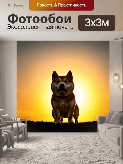 Фотообои сиба-ину радостно улыбается на фоне золотистого заката, его силуэт аккуратно выделяется на фоне яркого неба