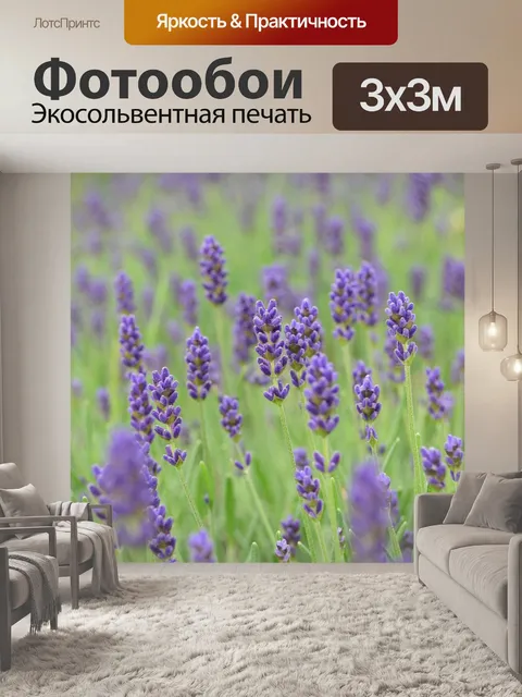 Фотообои Лаванда