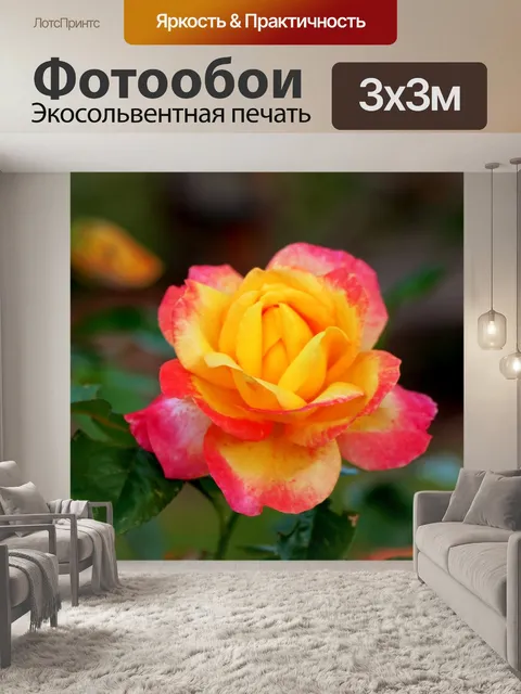 Фотообои Розовый желтая роза