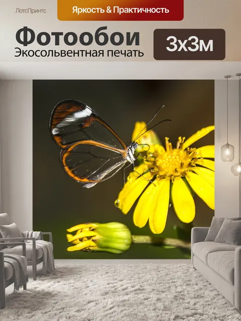 Фотообои Тенерифе