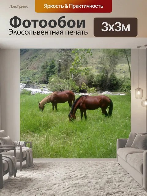Фотообои Лошади