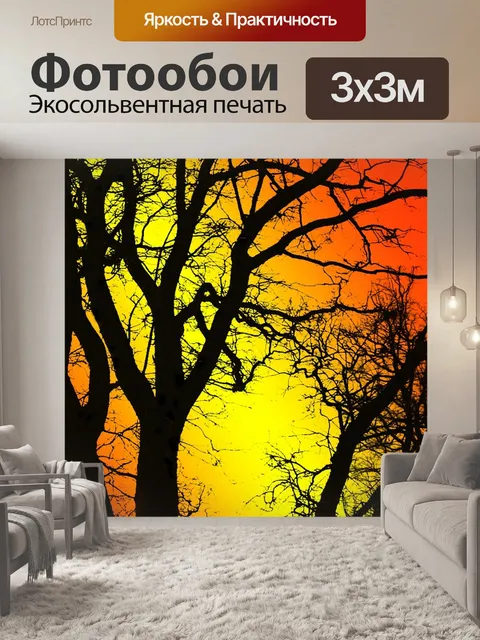 Фотообои Деревья