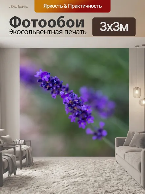 Фотообои Лаванда